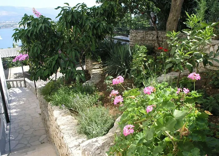 Apartman Zuzul -