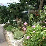 Διαμέρισμα Zuzul -