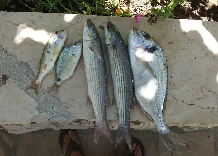 Lejlighed Zuzul - Trogir